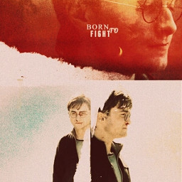harry potter emotions born to fight born to