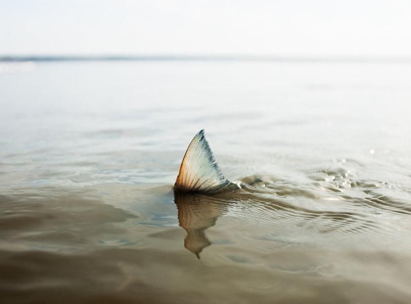 Fisherman Photographer Corey Arnold 