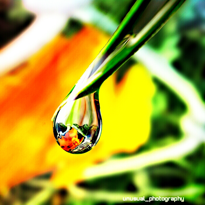 tear nature hdr colorful image by @unusual_photography